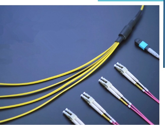 MPO & MTP Patch Cords  London - UK